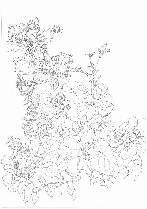 南京师范自考学位证难拿吗